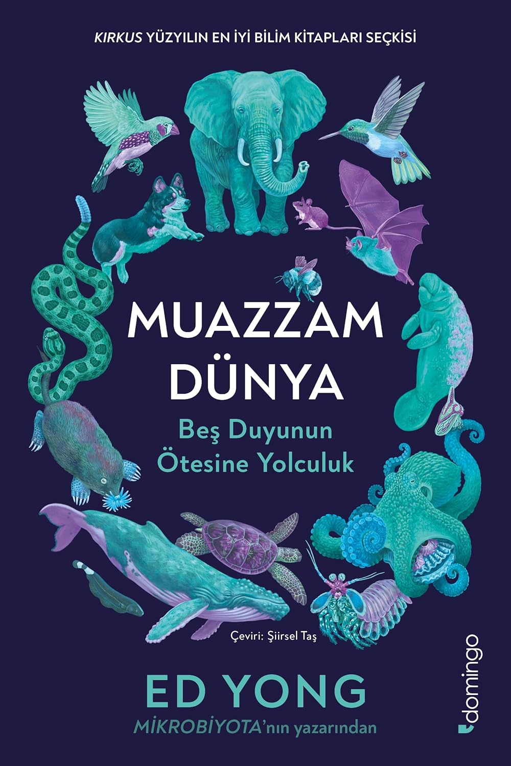 Muazzam Dünya